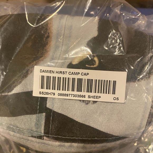 Supreme Damien Hirst Camp Cap - Picture 6 of 6